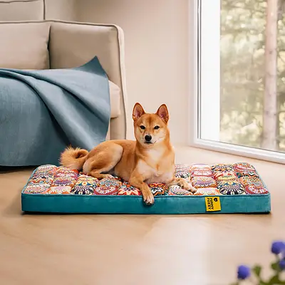 Cama ortopédica confortável espessada com apoio total marroquino para cachorro