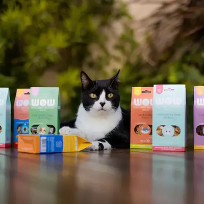 Kit de Petiscos Naturais para Gatos de Lombinho