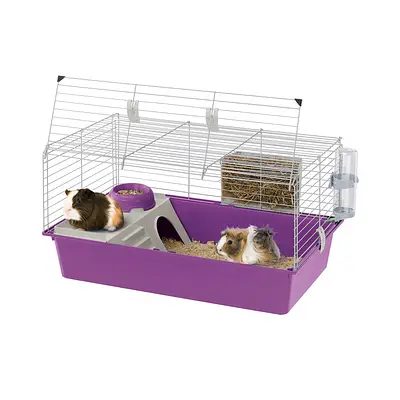 Gaiola Ferplast Cavie 80 para Roedores Violeta