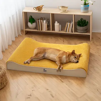 Espreguiçadeira Luxuosa para Cães Cama Ortopédica Nobre para Cães