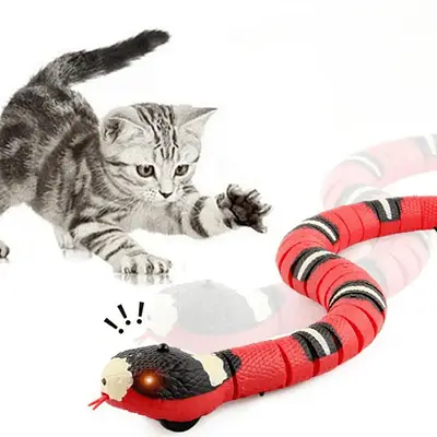 Cobra Maluca para Gato Brincar