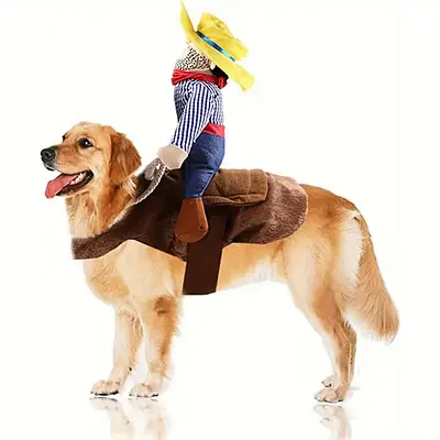 Fantasia de Cavaleiro Cowboy Grande para Cães