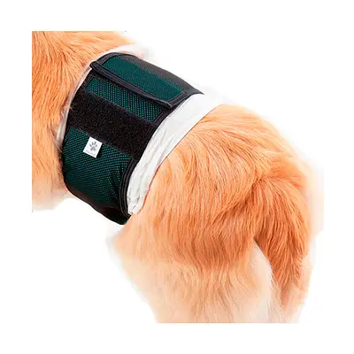 Roupa Protetora Pet Med para Fraldas de Cães Machos Verde