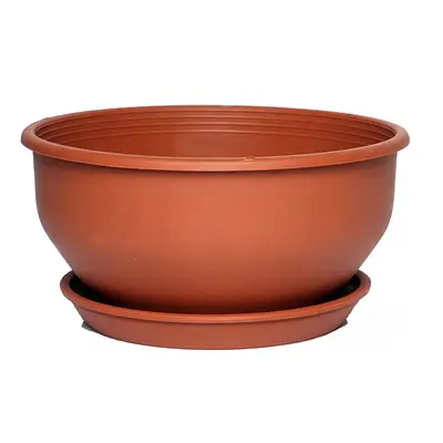 Vaso com Prato Desli Cuia Marrom