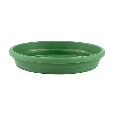 Prato Desli Para Vasos Verde