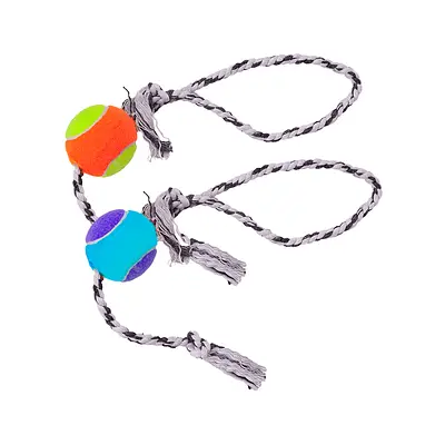 Brinquedo LCM Dental Bone para Cães - Cores Sortidas
