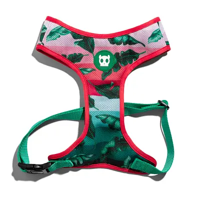 Peitoral Zee.Dog Bali Air Plus para Cães
