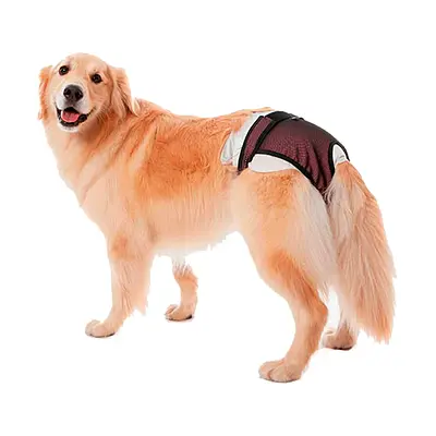 Roupa Protetora Petmed Higiênica Para Fraldas e Cio Rosa