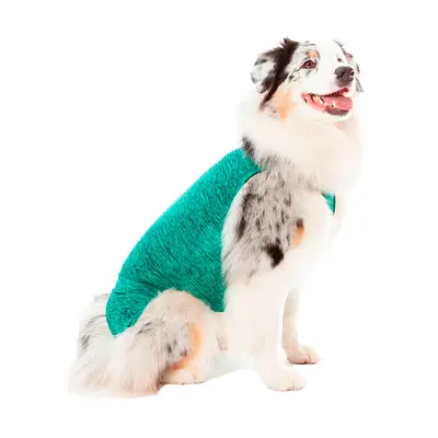 Roupa Cirúrgica Pet Med Duo Dry Regular Verde para Cães