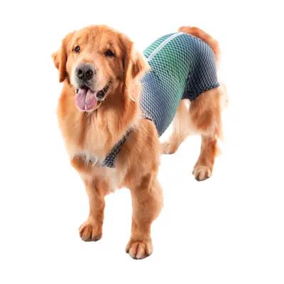 Roupa Cirúrgica Pet Med Para Macho Ultra Light Castração Azul e Verde