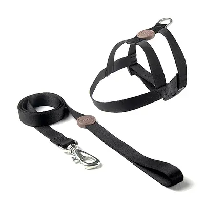 Peitoral e Guia Toh Tradicional Black para Cães