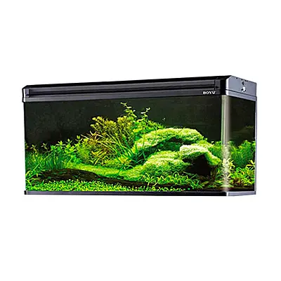 Aquário Boyu Curvo 120E 200L Preto 220V