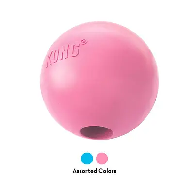 Brinquedo Kong para Cães Puppy Ball W/Hole - Cores Sortidas