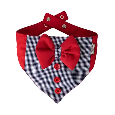 Bandana Modernpet Gravata Borboleta para Cães - Estampas sortidas