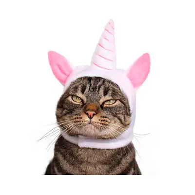 Fantasia de Unicórnio Cansei de Ser Gato