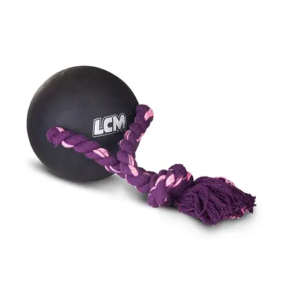 Brinquedo LCM Bola Superpet para Cães