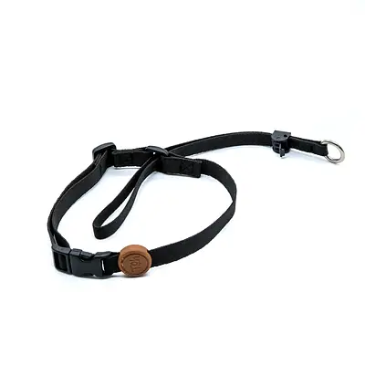 Coleira Toh Cabresto Black para Cães