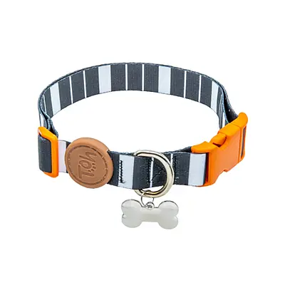 Coleira Toh com Tag ID Eclipse para Cães