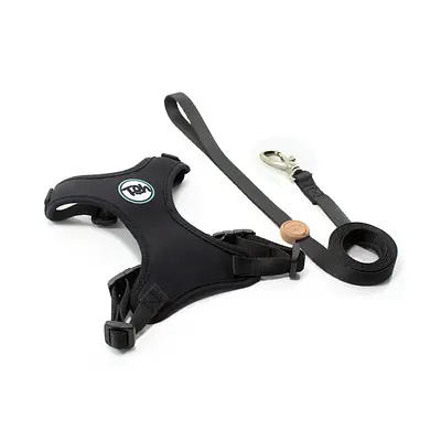 Peitoral com Guia Neo Black para Gatos