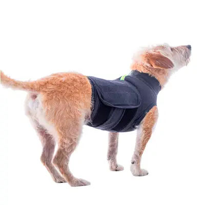 Roupa Pet Med Colete Calm Pet para Cães Cor Cinza