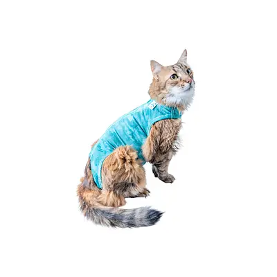 Roupa Pet Med Regata Dry Light Supreme para Gatos Cor Verde