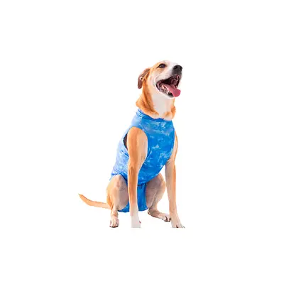 Roupa Pet Med Regata Dry Light Supreme para Cães Cor Azul