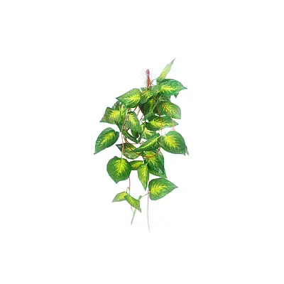Planta Nomoypet Jiboia de Plástico com Ventosa Verde para Répteis