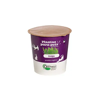 Graminha para Pets Veiling Holambra Trigo Ornamental 60 g