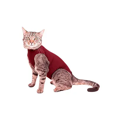 Roupa Pet Med Essencial Care Pet Freedom Bordô para Gatos