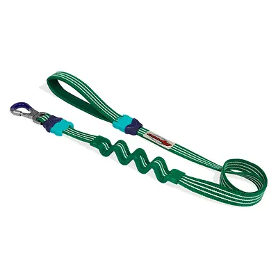 Guia Zee.Dog com Amortecedor Velvet Vibes Vert para Cães