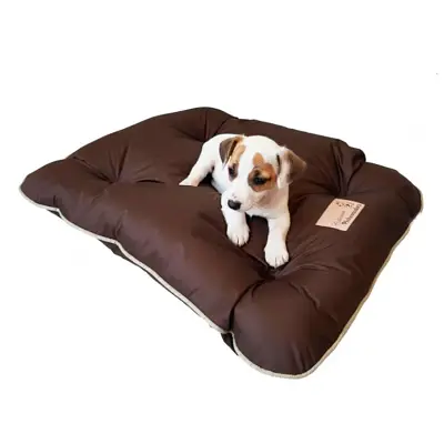 Almofadog Marrom Pickorruchos Tamanho Extra G