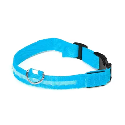 Coleira Com Led Cães The Pets Colors Pequena