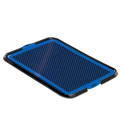 Sanitário Higiênico Cães Furacão Pet Xixi Fácil Azul