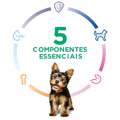 Ração Hill s Science Diet Cães Filhotes Small & Mini 2,04kg
