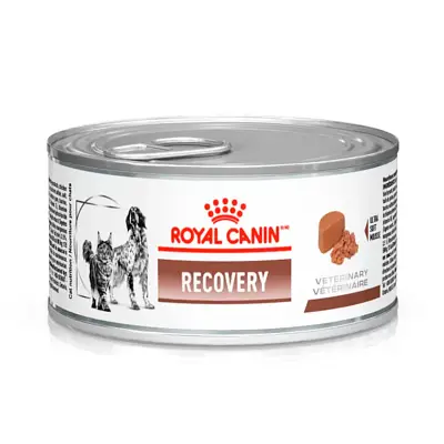 Ração Úmida Royal Canin Cães Recovery Lata 195g