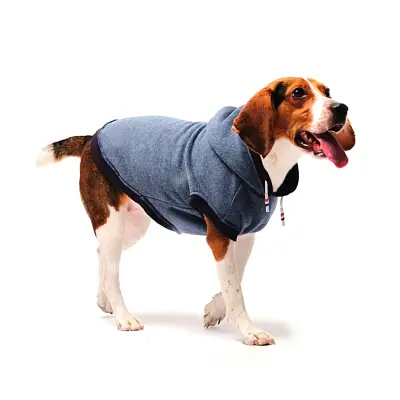 Roupa Cães Tutelo Moletom Comfy Azul G