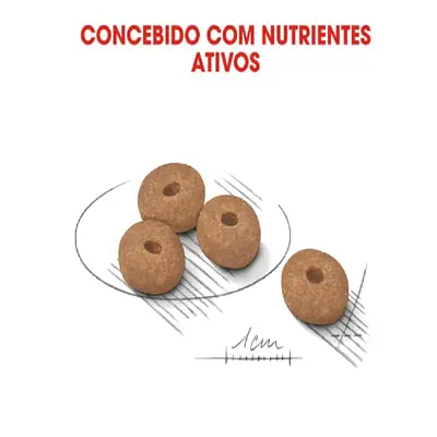 Ração Cães Royal Canin Mini Light 2,5kg