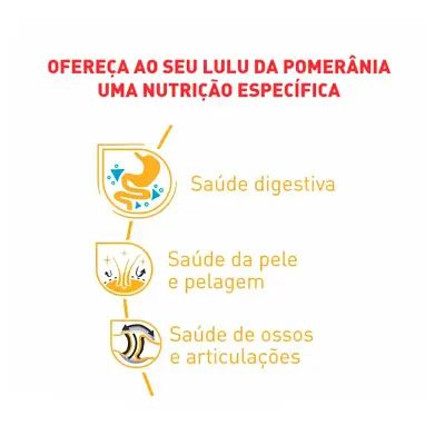 Ração Cães Royal Canin Pomeranian Adultos 1kg