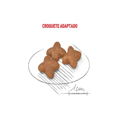 Ração Cães Royal Canin Mini Adultos 2,5kg