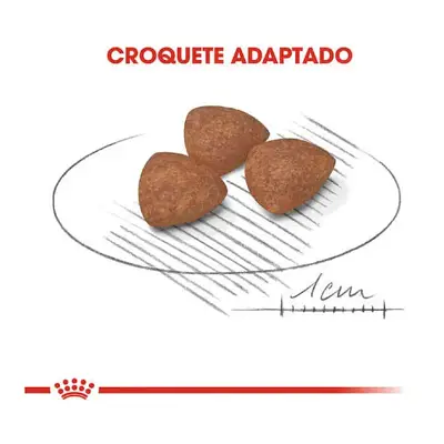 Ração Cães Royal Canin Mini Indoor Puppy Jr. 2,5kg