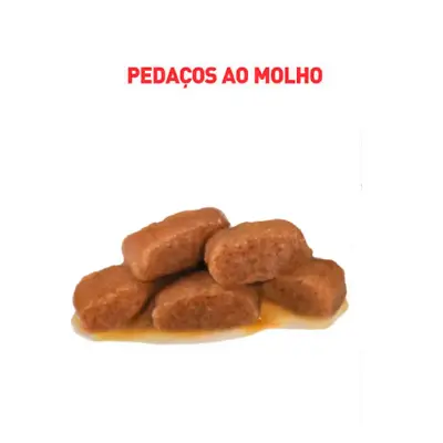 Ração Gatos Royal Canin Veterinary Umida Gastro Intestinal Sachê 85g