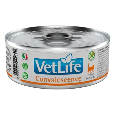 Ração Úmida Vet Life Gatos Convalescence 85g