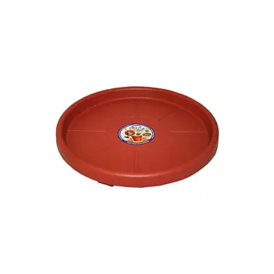 Prato com Rodas Marrom Skate Okla 27cm
