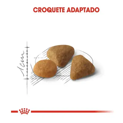 Ração Gatos Royal Canin Exigent 400g