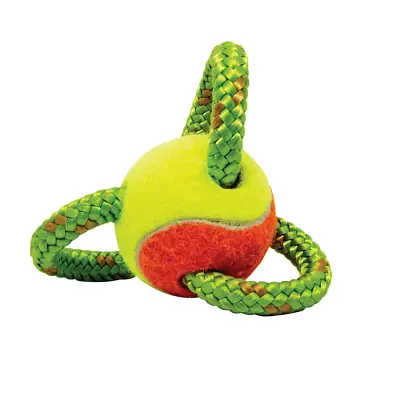 Brinquedo Cães LCM Dental Bone Star 200mm