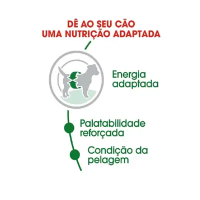 Ração Cães Royal Canin Mini Adultos 1kg