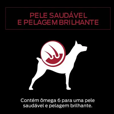 Ração Úmida Nestle Purina Cães Pro Plan Adultos Carne Sache 100g