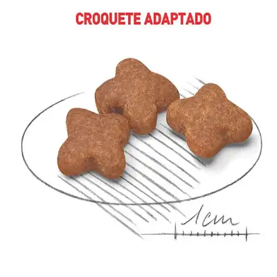 Ração Cães Royal Canin Mini Adultos 8+ 2,5kg