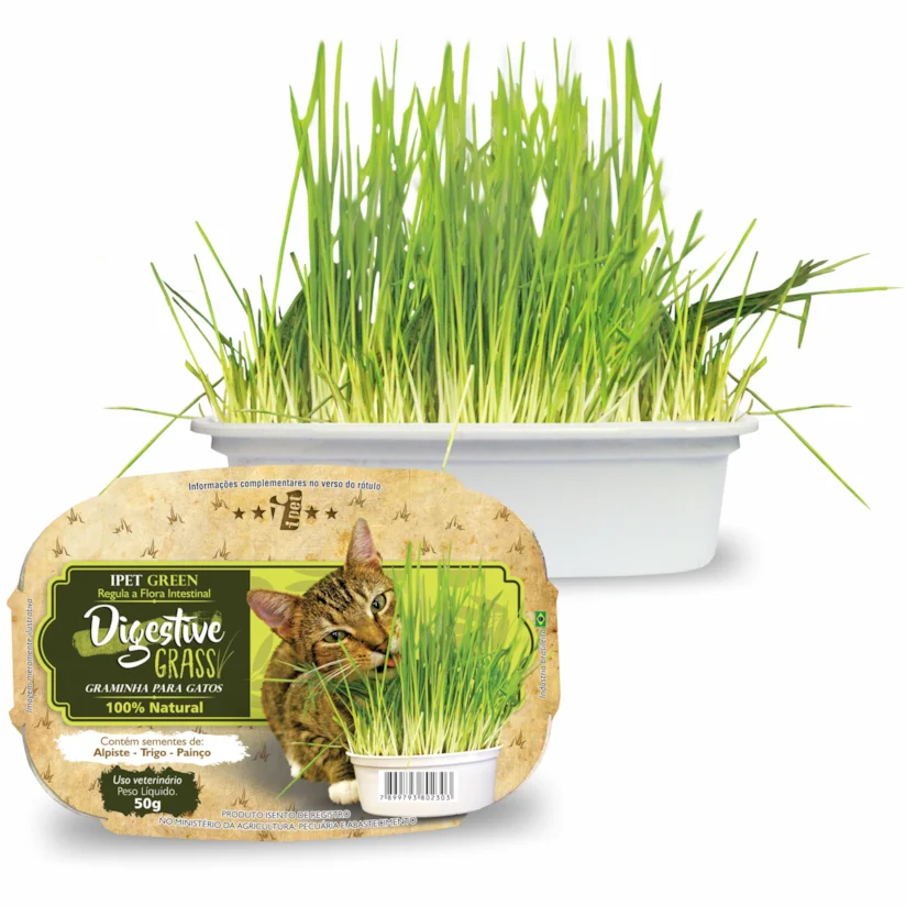 Graminha para Gatos Green Digestive Grass Ipet 50g