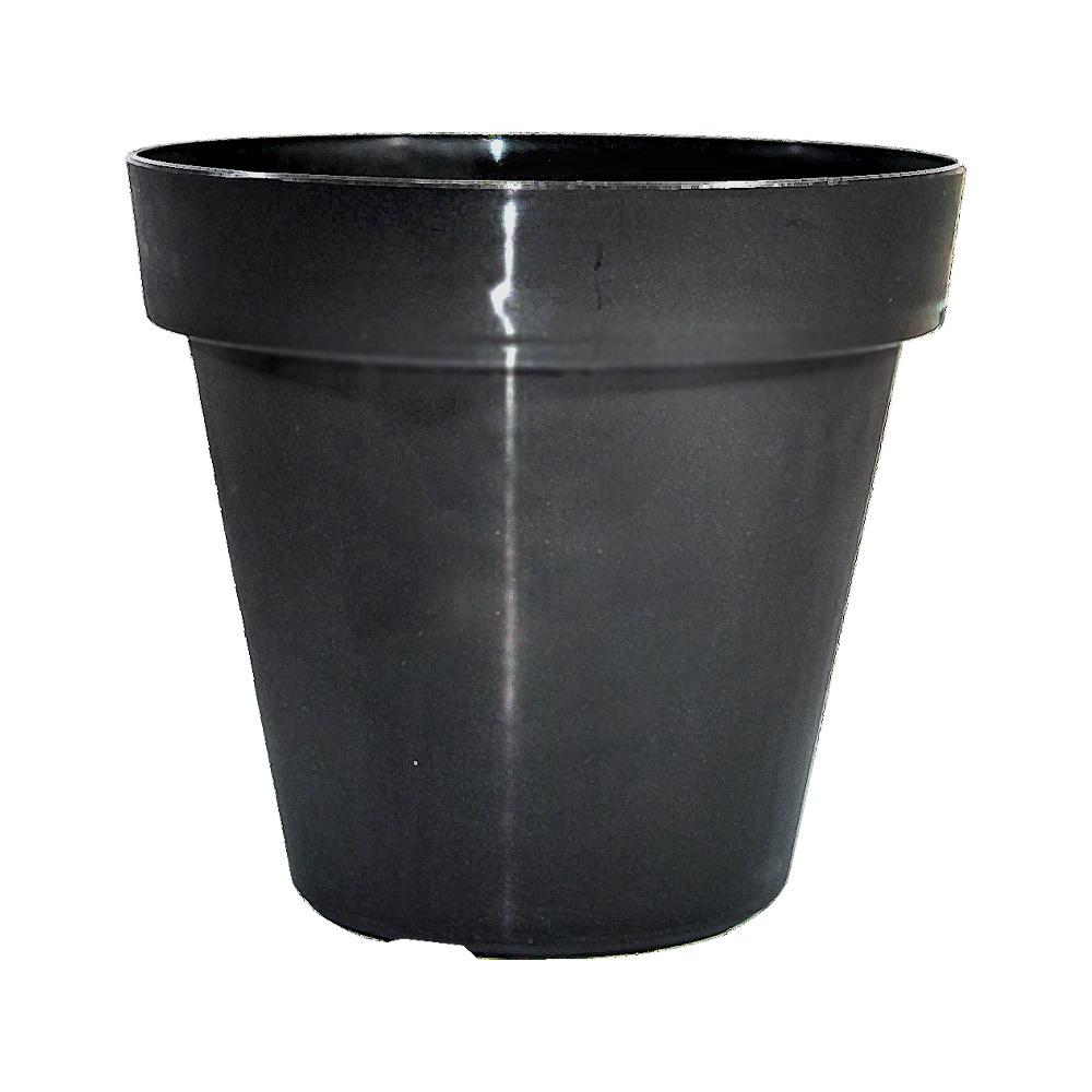 Vaso Okla Ponte Preto